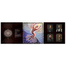 TOOL 'FEAR INOCULUM' 3LP