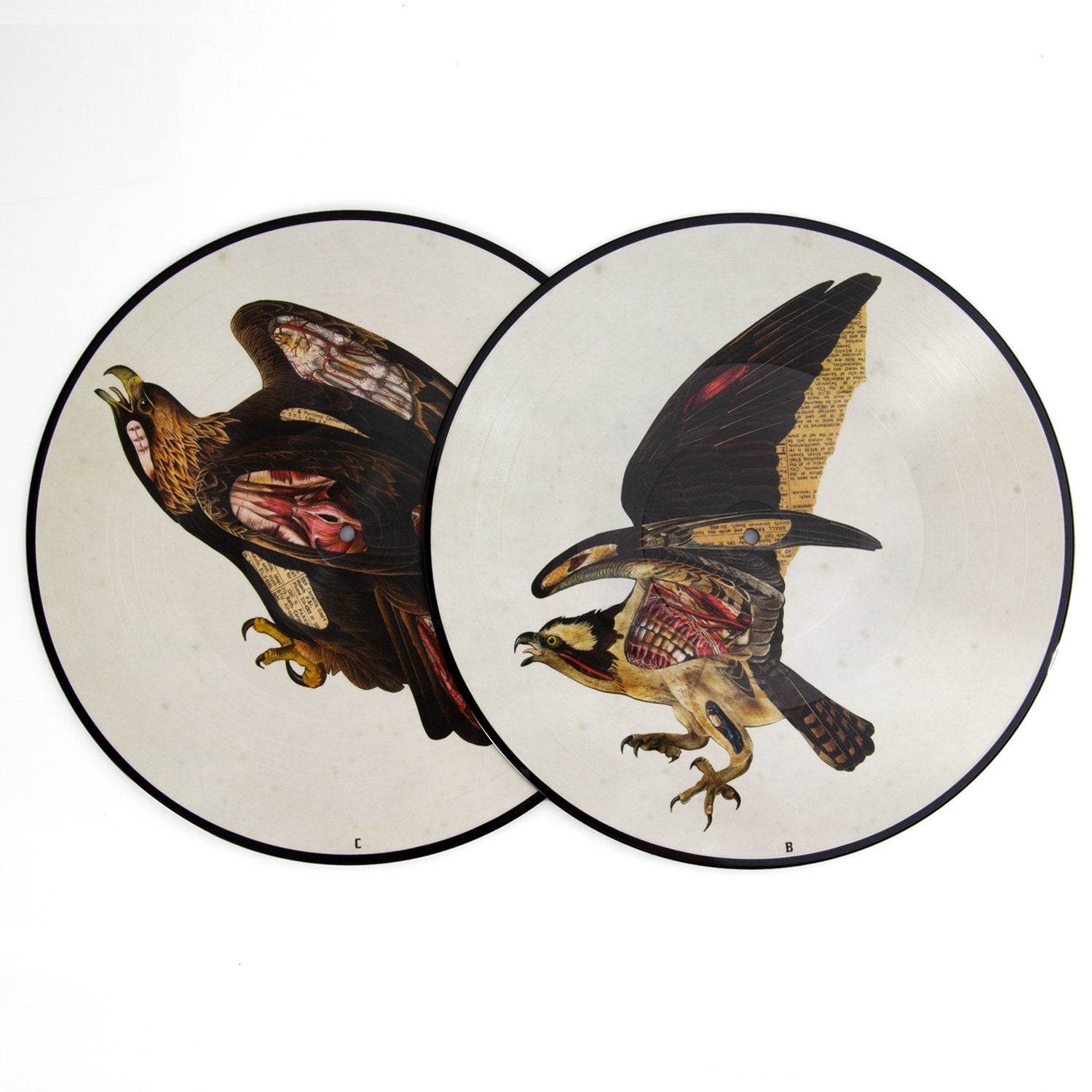 CLUTCH 'BOOK OF BAD DECISIONS (PICTURE DISC)' 2LP