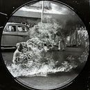 RAGE AGAINST THE MACHINE 'RAGE AGAINST THE MACHINE' LP (Picture Disc)